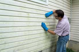 Best Storm Damage Siding Repair  in Pine Hill, NJ